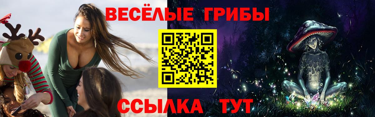 Галлюциногенные грибы GOLDEN TEACHER Чистополь