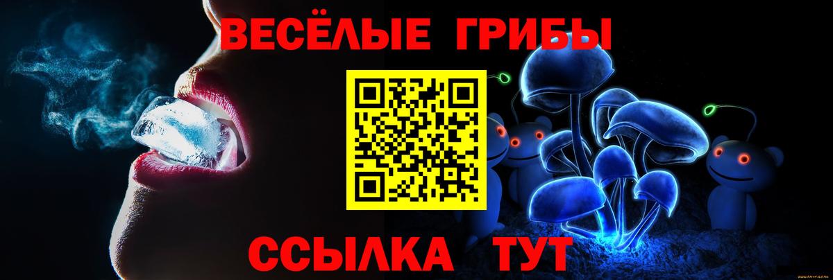 Псилоцибиновые грибы мицелий  закладка  Вход с VPN  Чистополь  Галлюциногенные грибы GOLDEN TEACHER 